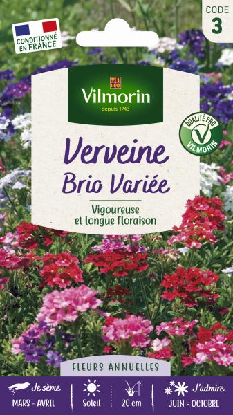 Fleurs - Verveine Brio Variée - PACKAGING_RECTO